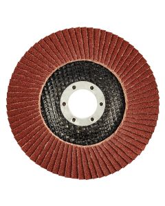 Ściernica listkowa 125 x 22.2 mm, K120 55H991