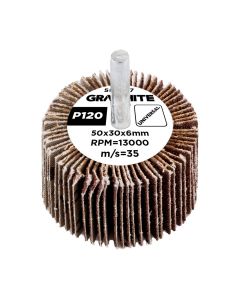 Ściernica listkowa trzpieniowa 50 x 30 x 6 mm, P120 58T397