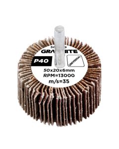 Ściernica listkowa trzpieniowa 50 x 20 x 6 mm, P40 58T399