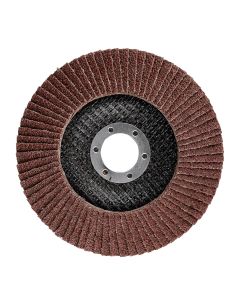 Ściernica listkowa 125 x 22.2 mm, P40 58T120