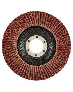 Ściernica listkowa 115 x 22.2 mm, K36 55-980