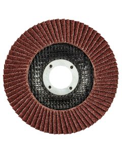 Ściernica listkowa 115 x 22.2 mm, K60 55-982