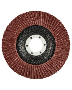 Ściernica listkowa 115 x 22.2 mm, K80 55-983