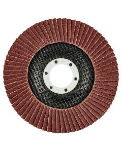 Ściernica listkowa 115 x 22.2 mm, K100 55-984