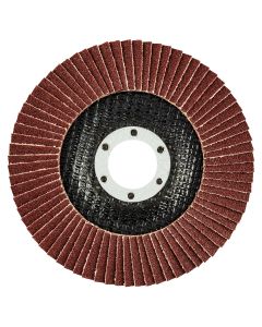 Ściernica listkowa 115 x 22.2 mm, K120 55-985