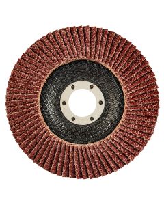 Ściernica listkowa 125 x 22.2 mm, K120 55-991