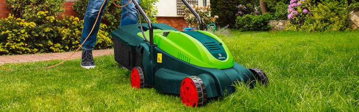 Zakładanie trawnika