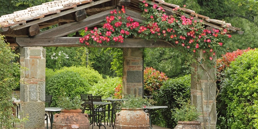 Ogrody w stylu śródziemnomorskim - co w nich sadzić, jak aranżować?