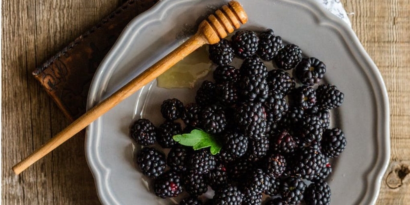 Przycinanie jeżyn - jak i kiedy przycinać krzewy?