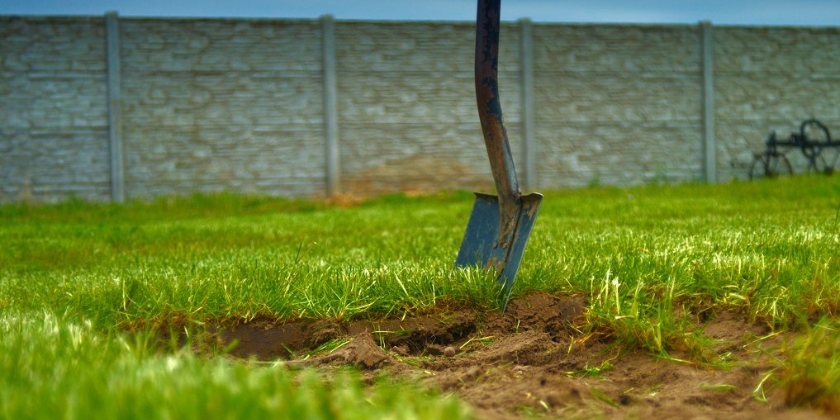 Wapnowanie trawnika krok po kroku