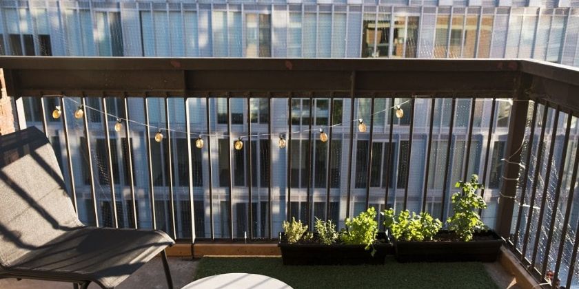 Trawy ozdobne na balkon i taras - jakie gatunki wybrać?