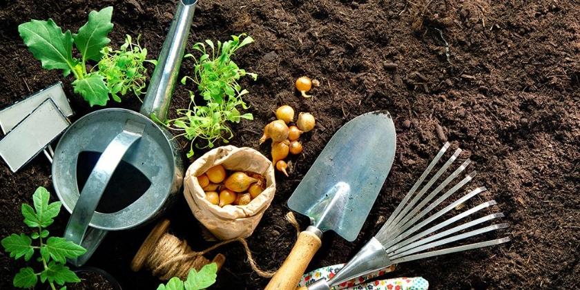 Marzec w ogrodzie - jakie prace wykonać?