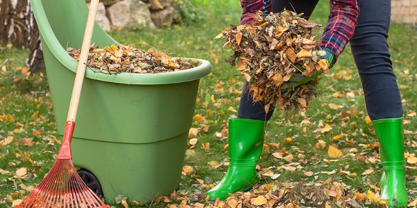 Listopad w ogrodzie - z czym trzeba zdążyć przed zimą?