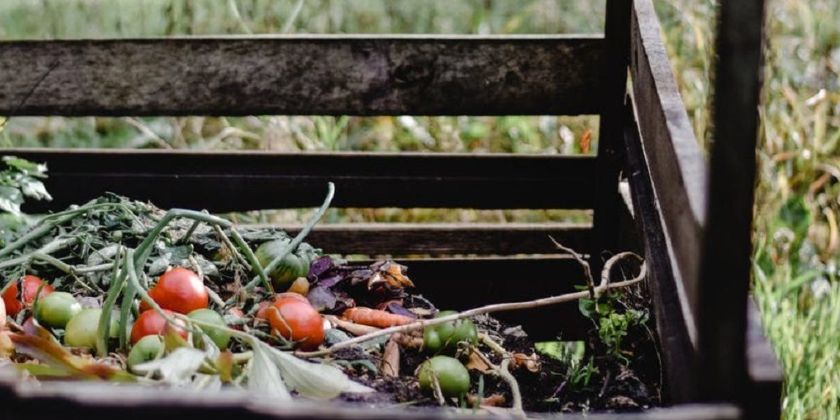 Jak zrobić kompostownik - proste rozwiązania z wykorzystaniem palet lub beczki