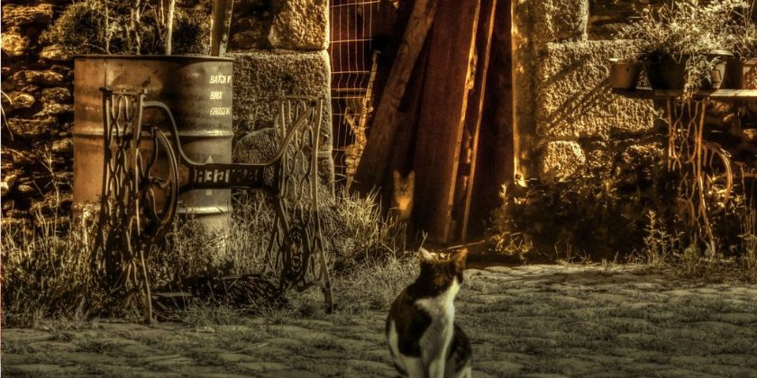 Kostka brukowa w ogrodzie - jak samodzielnie ułożyć ścieżkę?