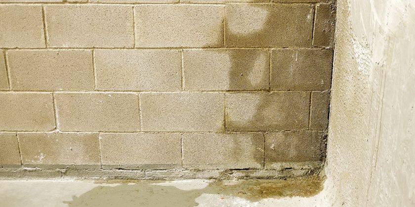 Jak pozbyć się wilgoci z piwnicy?