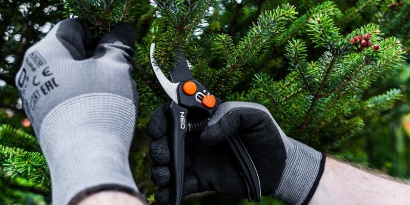 Ostatnie letnie cięcia w ogrodzie - przegląd sekatorów