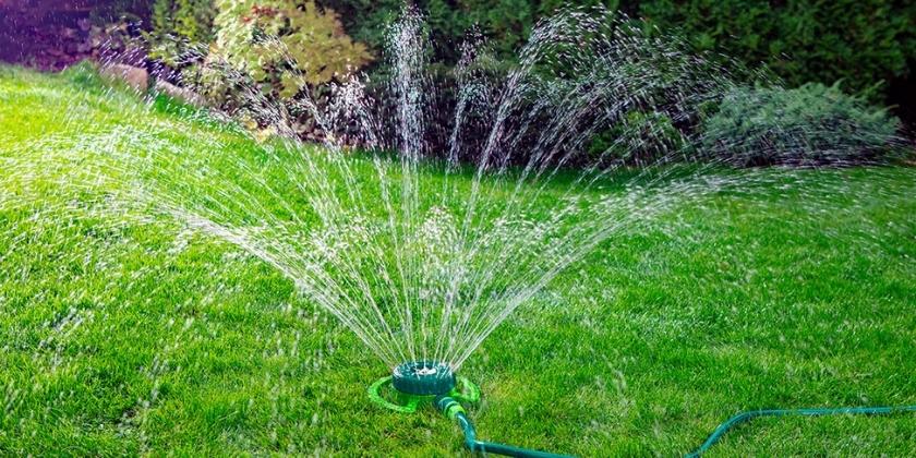 Kiedy siać trawę, jak wybrać optymalny termin na założenie trawnika?