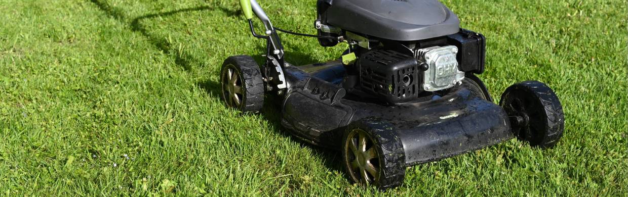 Jaka kosiarka spalinowa będzie dobrym wyborem?
