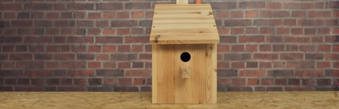 JAK SAMODZIELNIE WYKONAĆ BUDKĘ LĘGOWĄ DLA PTAKÓW
